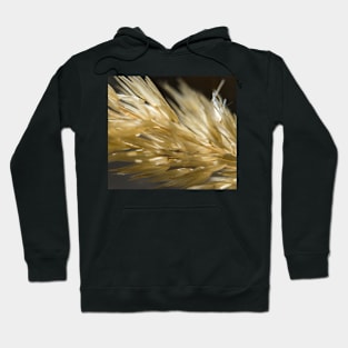 Garden macro Hoodie